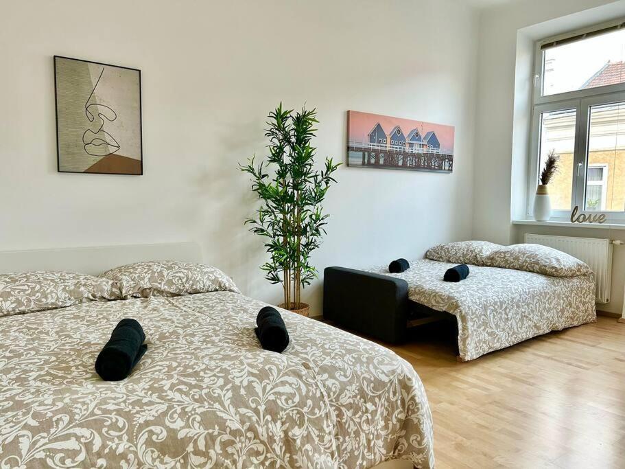 Appartement 50 M2 Stylish With Free Parking & Netflix Vienne